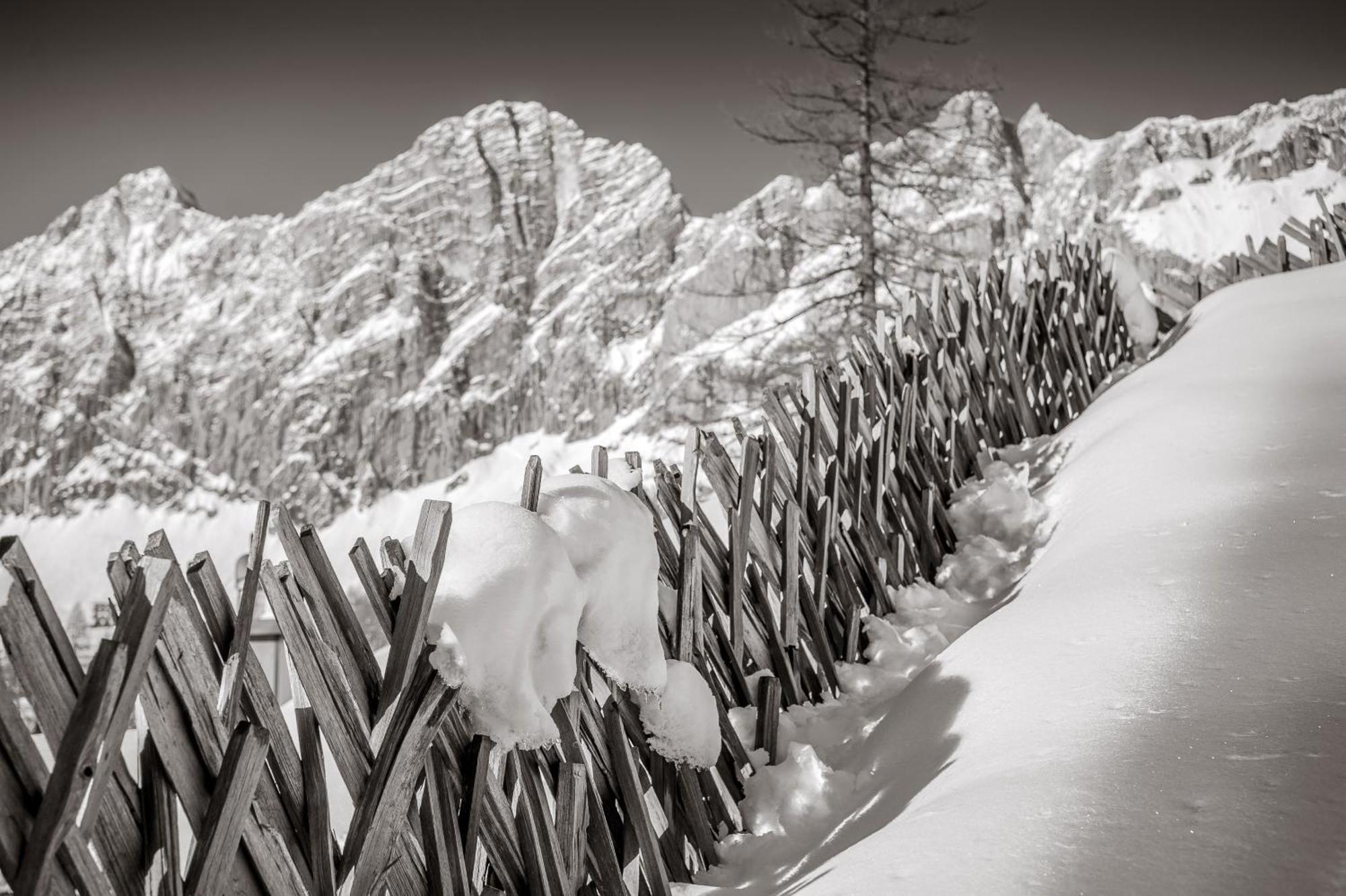 Naturchalet Hoeflehner - Heimgefuehl & Ruhelage An Loipe & Wanderweg Ramsau am Dachstein Eksteriør billede